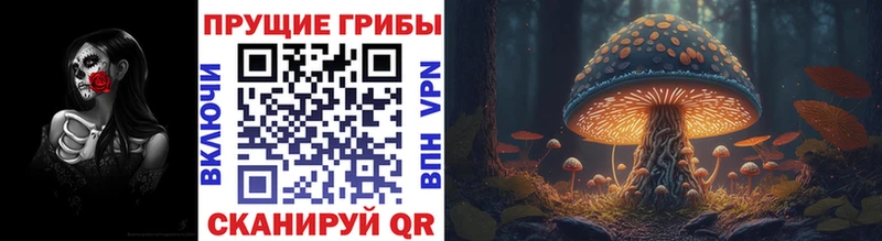 Купить где  Соль-Илецк  Галлюциногенные грибы прущие грибы 